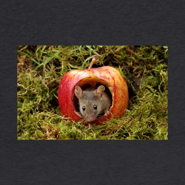 Mouse in a apple by Simon-dell